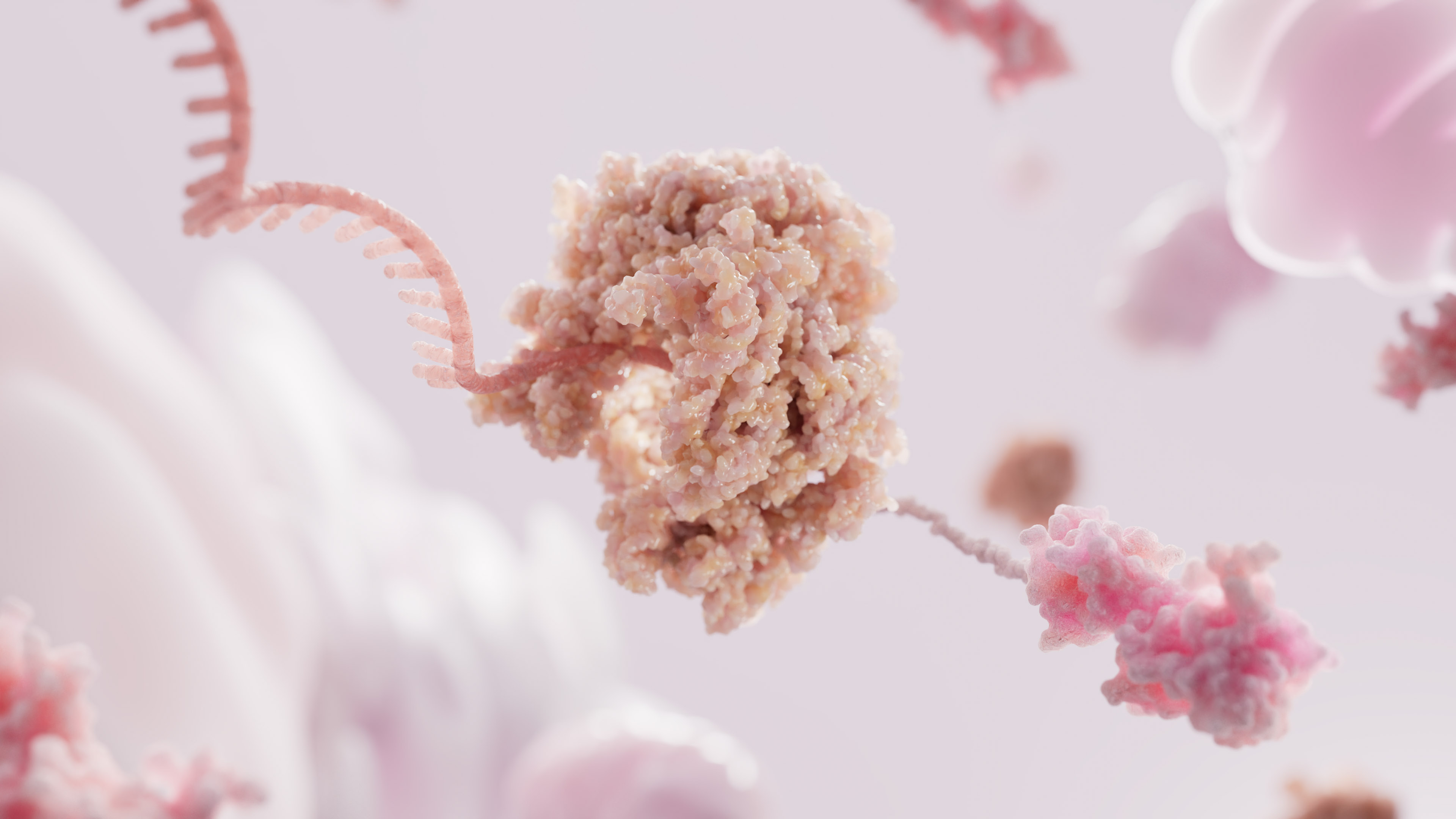 mRNA 癌症免疫疗法