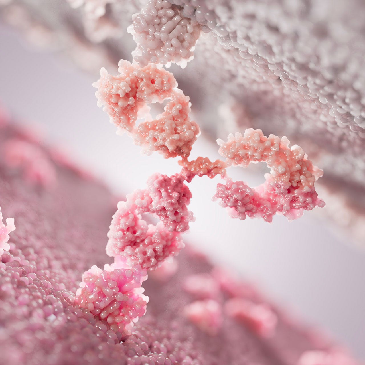 下一代免疫调节剂